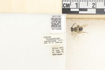 Media type: image;   Entomology 770200 Aspect: Labels